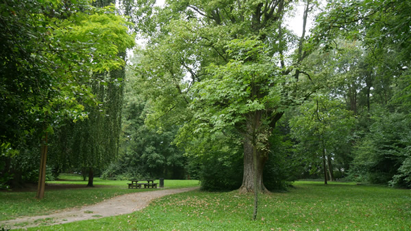 Le parc du clos Saint-Pierre