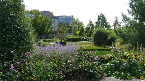 Les jardins du Colysée