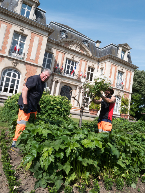 Un long travail de précision
